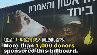 世界在改變：公路出現揭穿牛奶殘酷真相的廣告 Awesome Vegan Campaign