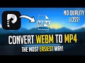 How to Convert WEBM to MP4 | The Easiest Way is Here!