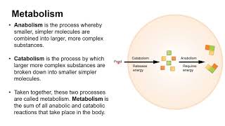 Chapter 1C   Systems and Basic Life Functions