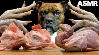 【大食い犬ASMR】瞬き厳禁！生肉を一瞬で消し去る愛犬www 　Dog eats raw meat and bones