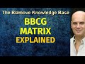 BCG Matrix Explained | Management & Business Concepts