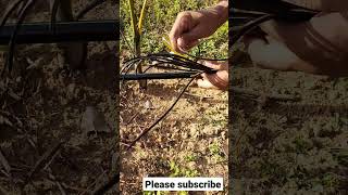 Drip irrigation/micro tube fixing easy wayy✨