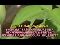 ALBUM SHOLAWAT MENYAMBUT MAULID NABI 2024 MAHALUL QIYAM 57