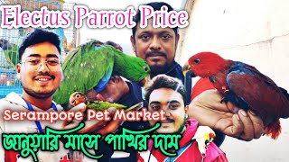 Exotic Birds Price in January 2025 . Electus Parrot Price in India 🔥 Serampore Bird Market 💥✨ Part-1