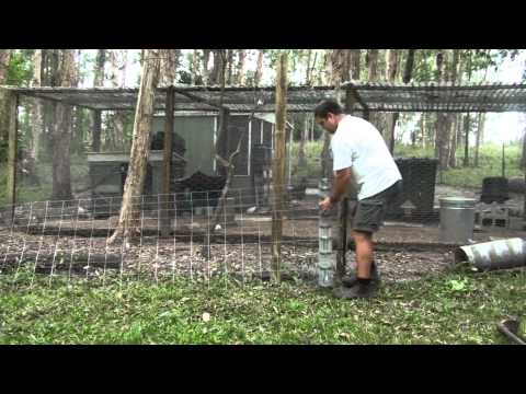 Easy Poor Man's Dog or Fox Proof Fencing for Chicken Pen Easy Poor Man's Dog or Fox Proof Fencing for Chicken Pen