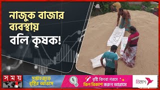 প্রতি হাটে কমে যাচ্ছে ধানের দাম | Paddy | Rice Price | Naogaon News | Somoy TV