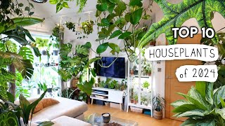 My 10 BEST + Favourite Plants From The Past Year! 🌿🪴