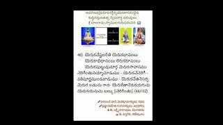 ఆవరణ విక్షేపరూప శక్తిద్వయ నిరాసకంబైన శుద్ధనిర్గుణ తత్వ ద్విపదార్థ  దరువులు (48/132)