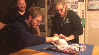 Lifecasting Brett \u0026 Karly time lapse 12-22-16