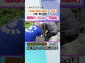 【特集｜秘湯の温泉】大雪で橋が崩落...人気露天風呂が2年半ぶりに再開！ news short ux新潟テレビ21 新潟