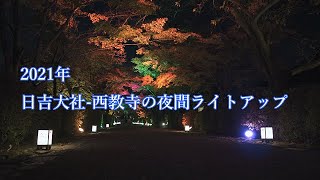 日吉大社 西教寺紅葉夜間ライトアップ2021