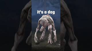 Top 5 Easiest Killers in DbD #dbd #deadbydaylight