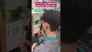 대전둔산동 모델와이즈헤어 남자헤어스타일 추천 뜨는 곱슬 머리 다운펌 볼륨매직 #shortvideo #haircut #hairstyle #대전 #둔산동 #미용실