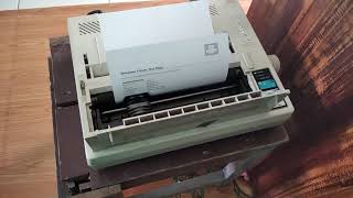 Test print Epson LX 800 on windows 10