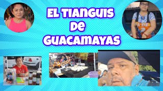 el tianguis de guacamayas en la ciudad  de los pricipes sayayines