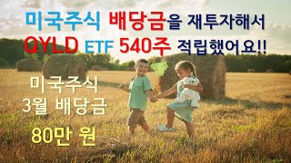 미국주식 배당금 재투자로 QYLD ETF 540주 적립! 3월 미국주식 배당금 80만 원!