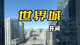 北京租房 国贸CBD 豪华装修 yyds 无敌夜景