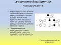 Моногенне та полігенне успадкування ознак у людини. Складання родоводів