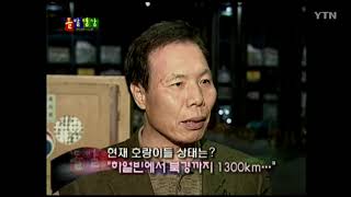 백두산 호랑이 - 돌발영상 시즌1 2005.11.17 방영 / YTN