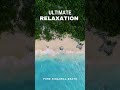 Pure Binaural Beats For the Ultimate Total Body Relaxation Experience #binauralbeats