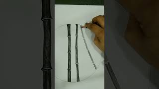 Easy Bamboo Tree Drawing In Very Easy Steps |