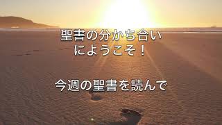 聖書の分かち合い　年間第３主日　2023年1月22日　　カトリック　KINOKOlogy