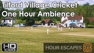 HD English Village Cricket - One Hour Ambient Sound and Video