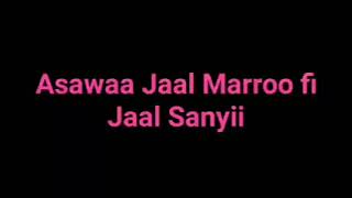 Haasawa Jaal Marroo fi Jaal Sanyii torbee kanaa Like, share and #Subscribe haagoonuu.