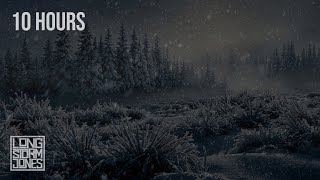 Whispering Pines | Gentle Winter Wind Through the Forest | RELAX | STUDY | SLEEP | 10 HOURS
