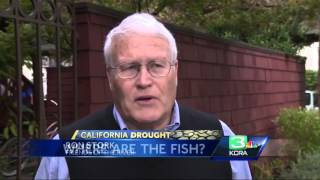California's historic drought likely to impact salmon run