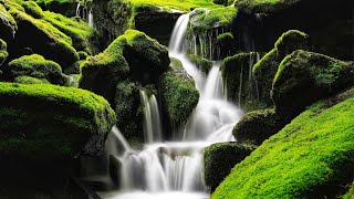 1 Hour Nature Sounds-Waterfall-Relaxing Meditation W/O Calming-Water Falling Sound Effect