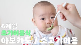 (ENG CC) 6개월 아기 이유식 먹방! 아보카도, 소고기미음 만들기 | 미국일상 | First-stage baby food MUKBANG!