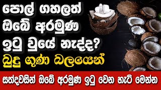 සත්දවසින් ඔබේ අරමුණ ඉටු වෙන හැටි මෙන්න @niwanmagabuduguna  #niwan #niwanmaga #buduguna #budubana