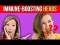 The Best Immune-Boosting Herbs | Dr. Janine