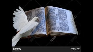 Vision!!! White Doves!!! Rejoice!!! Vision!!! White Doves!!! Rejoice!!!