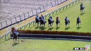 福島5レース障害オープン アランデル