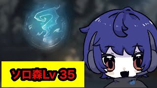 【魔法の覚醒】ソロ森Lv35 【魔法書Lv65】