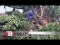 pingtung residents freed from fallen trees at their houses｜taiwan news