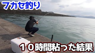 フカセ釣り１０時間粘った結果【宮崎】#黒鯛コンテスト