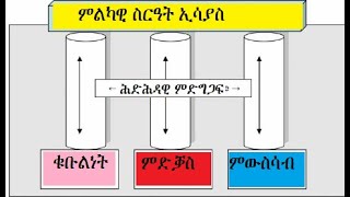 ምስግጋር ስልጣን ኣብ ኤርትራ፡ብኸመይ፣ ናብ መን፡ 4ይ ክፋል_