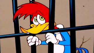 Woody Woodpecker Show | Woody in JAIL!!! | s For Kids