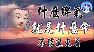 什麼脾氣就是什麼命~不信進來看｜心靈勵志｜快樂客棧