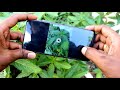 How to take slow motion video in Vivo Y50