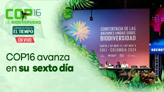 COP16 avanza en su día sexto: vea el resumen de las noticias más importantes de la Cumbre en Cali