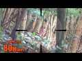 忍び猟・単独猟　狩猟映像　捕獲率100％の秘密がわかる　スコープ狙撃の世界　鹿猟　狩猟