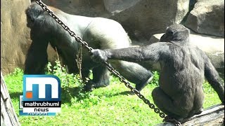 Take A Walk Through The Lively Moscow Zoo Park| Yathra, Episode: 218| Mathrubhumi News