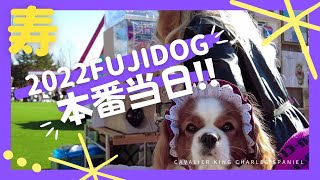 【#FUJIDOG #フジドッグ】キャバまみれに寿一家が大歓喜！