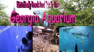 Discovering Whale Sharks at The Atlanta Georgia Aquarium