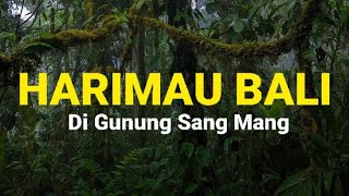 Harimau Bali di Gunung Sang Mang