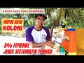 Racun Anai-anai Berkesan Bureau 5.0sc Mengatasi Koloni Anai-anai How To Kill & Remove Termites